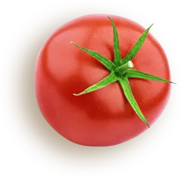Начало 17